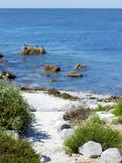 Shell Bay Beach House Ocean view