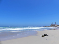 Shell Bay Beach House Kitchen